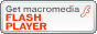 descargar flash
